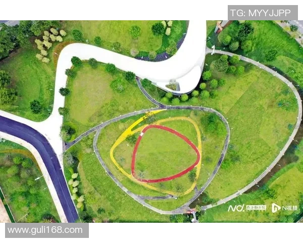 广州飞盘队速度对比深度解析与战术优势探讨