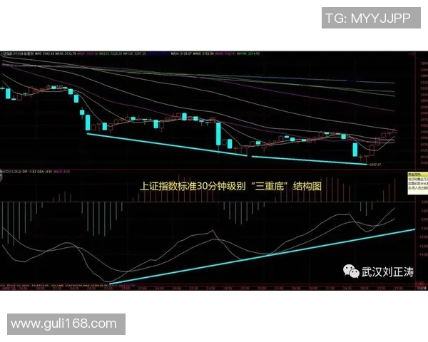 赛后复盘分析上海篮球队与武汉篮球队的表现与状态对比