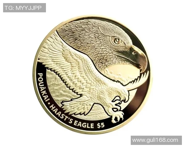 假扮老鹰足球明星的神秘人物揭晓背后的故事与真相